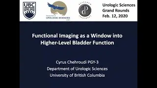 Functional Imaging as a Window into Higher-Level Bladder Function