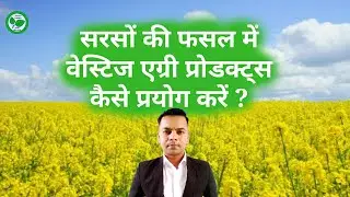 How to use Vestige Agri Products for Mustard Cultivation