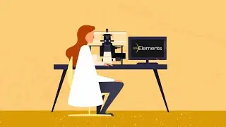 NIS-Elements - Microscope Imaging Software