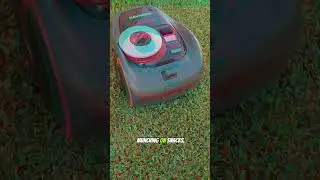 Let the robot do the work, the Navimow robot mower, precision cut while you eat, and run errands.