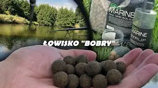 AMUR jak torpeda / CO tam się STAŁO? / Łowisko 
