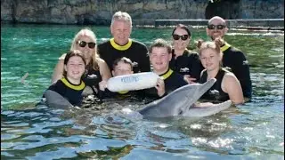 Discovery Cove, Florida 🦩🐬🦥🦦