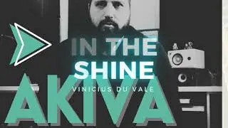 In the shine - Vinicius du Vale