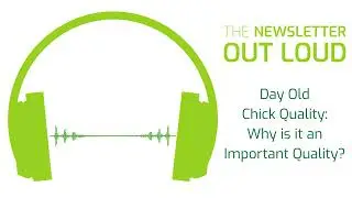 Day-Old Chick Quality: Why is it an important topic?