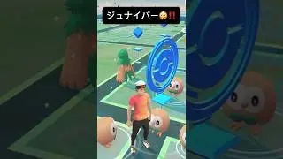 【ポケモンGO】ジュナイパーが現れた!!【✨Decidueye Pok&eacute;mon GO X Pokemon Card Artwalk ✨】