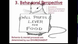 Psych 1 - 01.04.04: Behavioral Perspective
