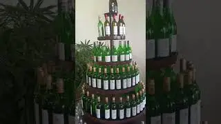 Nashik | Soma Vineyards Tour & Tasting