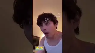 meme random absurd