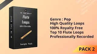Flute Loops (Pack 2) | Bollywood Flute Pack | 100% Royalty-Free |Romantic Bansuri Loops |In The Beat