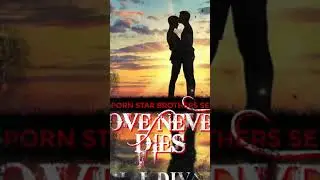 Porn Star Brothers: Love Never Dies