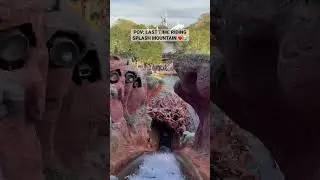 Last Ride on Splash Mountain #Disney #MagicKingdom #DisneyWorld #DisneyParks
