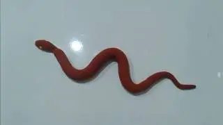 Play-doh Snake