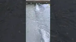 USANDO RETORNO FILTRO COMO PONTOS DE HIDRO