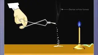 Irreversible Reaction