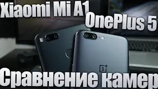 Xiaomi Mi A1 и OnePlus 5 - сравнение камер