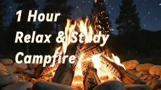 1 Hour - Relax & study with Campfire | Deep Meditation | #1hour #1hourloop #lofi #relaxing #calm