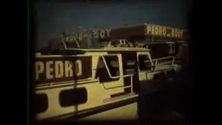 Pedro, ein Blick in die Vergangenheit