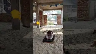 Allah won't let any harm come to the believers/prayerful people 🕋#Islamic #ForYou #Viral #Video