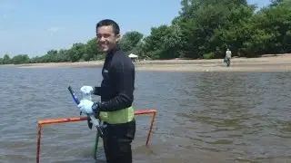 Shellfish Specialist, Kurt Cheng