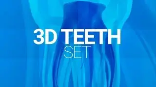 3D Models of Human Teeth - After Effects Template