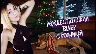 РОЖДЕСТВЕНСКИЙ ВЕЧЕР С ВОЛЧИЦЕЙ ► ЧИТАЕМ ГАРРИ ПОТТЕРА И ФИЛОСОФСКИЙ КАМЕНЬ | ПОЁМ | МОРСКОЙ БОЙ