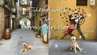 Agosto a Barcellona: passeggiata con Golden Retriever nel quartiere del Born, Barcellona.