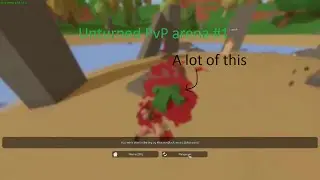 Unturned PvP Arena matches (we are a bit noob)