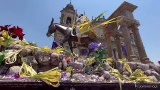Jesús de las Palmas a su paso por Catedral #domingoderamos #2023