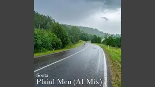 Plaiul Meu