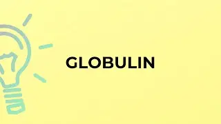 What is the meaning of the word GLOBULIN?
