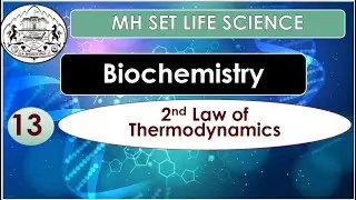 Second Law Of Thermodynamics | Thermodynamics | Biochemistry L13 ILife Science Crash Course MH SET |