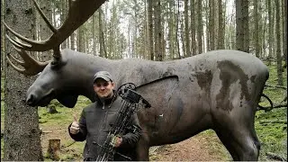 3D Bogenparcour Christes /Thüringen 2020