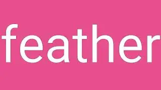 Feather Definition & Meaning