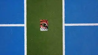 David Street School &ndash; TigerTurf New Zealand