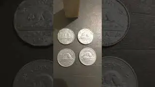 coin 5 cent canada 1962-1969-1985-1993. 13-09-2023. #s155, #shortvideo, #reels, #feedshorts,#shorts