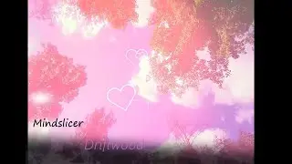 Mindslicer - Driftwood (Official Music Video)