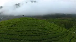Aerial view of Munnar (2017)- Kerala Tourism HD