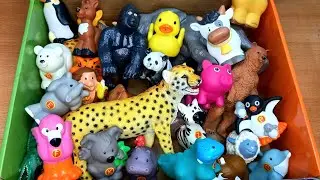 Wild Animals Toys in  a Box| Learn Sea animal,Wild animals, Farm Animals names and facts for kids