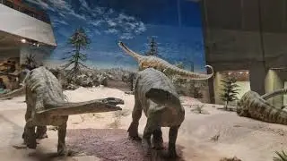 Naturkundemuseum Stuttgart. Museum am L&ouml;wentor