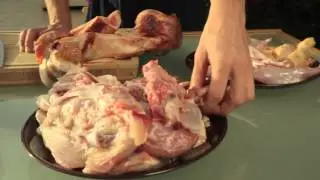 Dieta BARF perro: los diferentes tipos de huesos
