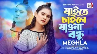 যাইতে চাইলে যাওনা বন্ধু । Jaite Chaile Jaona Bondhu । Meghla | Tiktok Viral Song 2025
