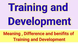 Training and Development | Human resource management |