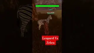 Leopard Vs Zebra | Savannah Life | Roblox