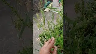 Today's Update of this plant Date 12 Fbe 2024