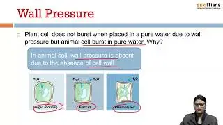 Plant water relations | Lecture-4 | Transport in Plants | Biology |Grade- 11 | JEE | NEET