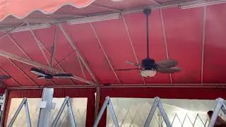 Home Decorators Collection Palm Cove Ceiling Fans