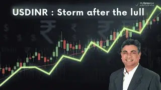 USDINR : Storm after the lull