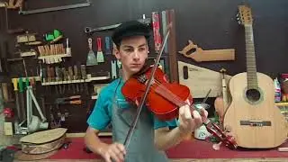 viola de arco luthier Gonçalves