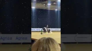 London International Horse Show 2025 Monivea Black Magic showout with Indy