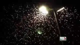 Prince George moth infestation